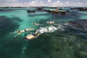 Schnorcheln auf Galapagos