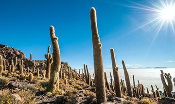 Reisen nach Bolivien 2