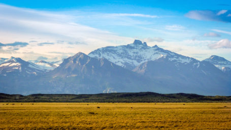 Weite Landschaft im Nationalpark Perito Moreno