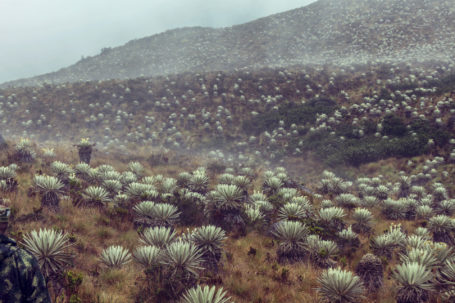 Nationalpark Sumapaz in Kolumbien