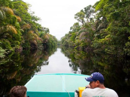Bootsfahrt durch die Tortuguero-Kanäle