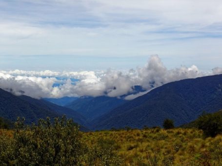 Panorama vom Bergnebelwald in Peru